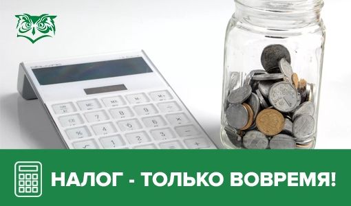 4 случая, в которых физические лица сдают налоговую отчетность