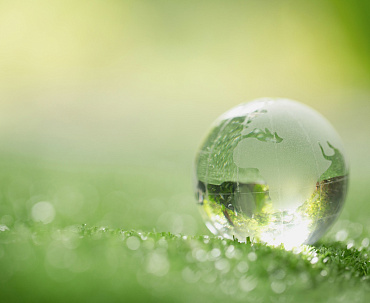 Экологический сбор — кто платит и как рассчитывается